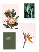 Flower Touch Poster Seti